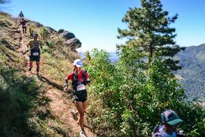 BIB: 
                            <button type="button" onclick="openModal(26600401)" class="btn btn-primary btn-sm float-right btn-popup" data-toggle="modal" data-target=".modal-high-quality">
                        <i class="fas fa-shopping-cart"></i> Add to Cart
                    </button>
                                            <button type="button" onclick="isThisMe(26600401, true)" class="btn btn-success btn-sm float-right btn-popup btn-isme hidden" data-toggle="tooltip" data-placement="bottom" title="นี่คือรูปของคุณใช่ไหม คลิกที่นี่เพื่อเอาเข้าอัลบั้ม">
                        <i class="fas fa-plus"></i> Add to album
                    </button>
                    <button type="button" onclick="isThisMe(26600401, false)" class="btn btn-warning btn-sm float-right btn-popup btn-isnotme hidden">
                        <i class="fas fa-ban"></i> Remove from album
                    </button>